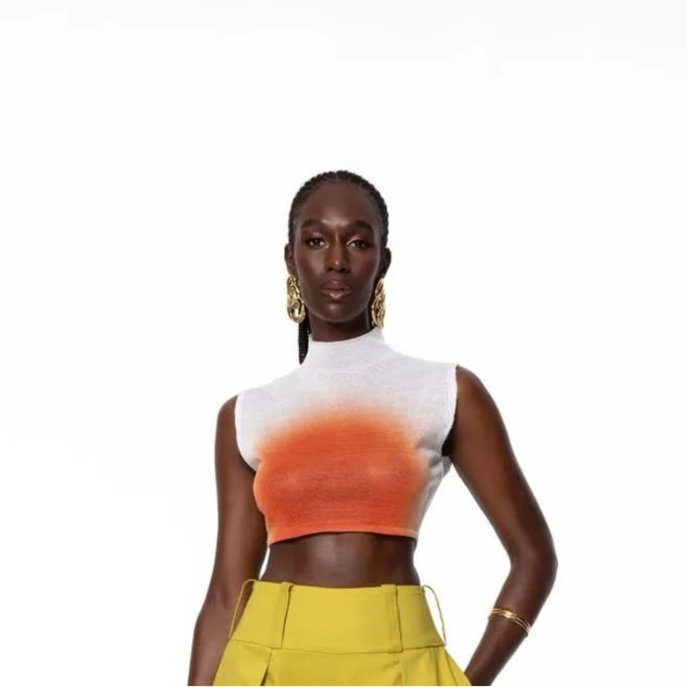Hanifa kalia sheer crop top